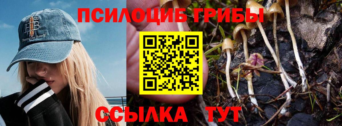 Псилоцибиновые грибы ЛСД  Вход с VPN  Псилоцибиновые грибы GOLDEN TEACHER  где купить   Пенза 